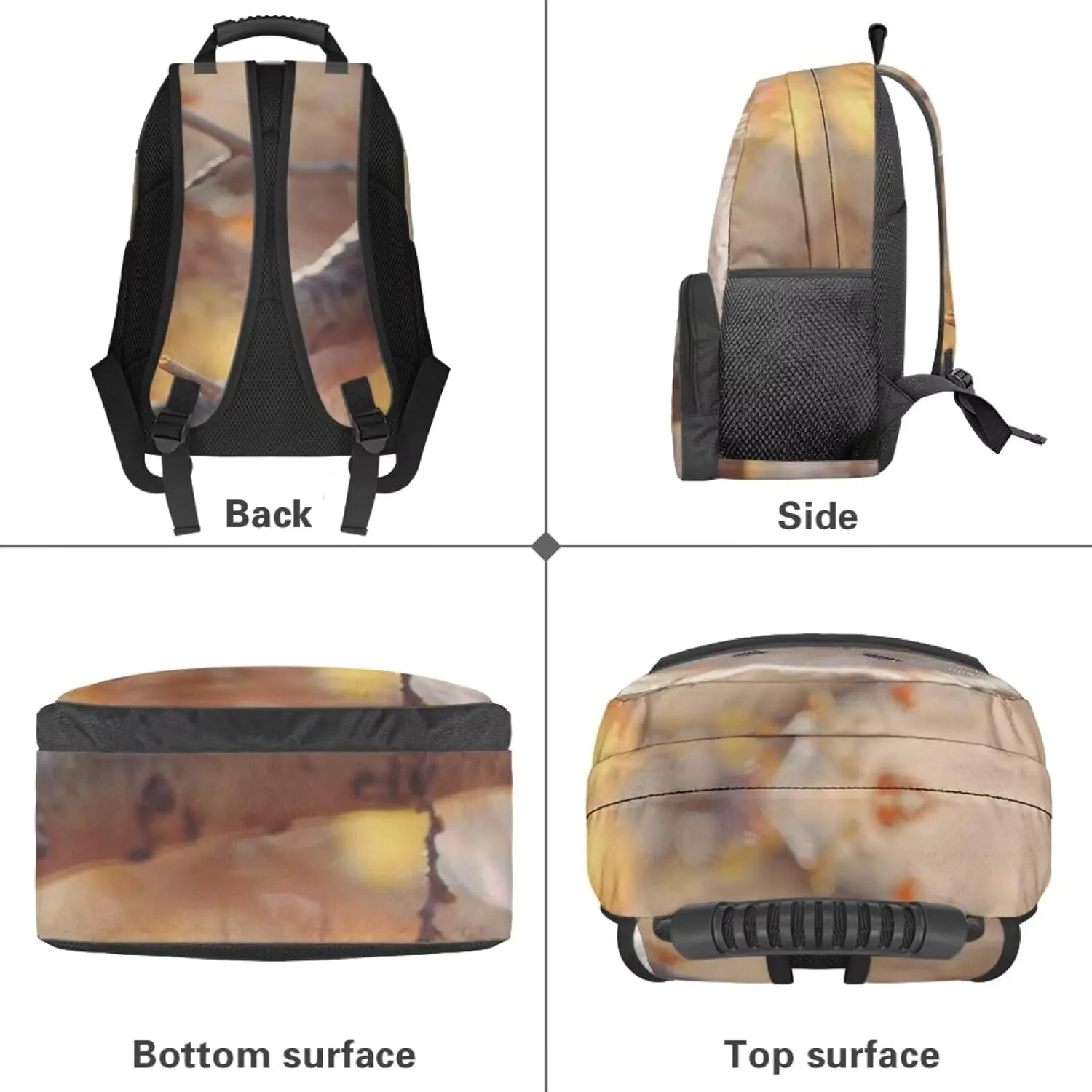 Beauty Collector Hamster Nut Tree Autumn Backpacks Travel Laptop School Book Bag for Teens Kids