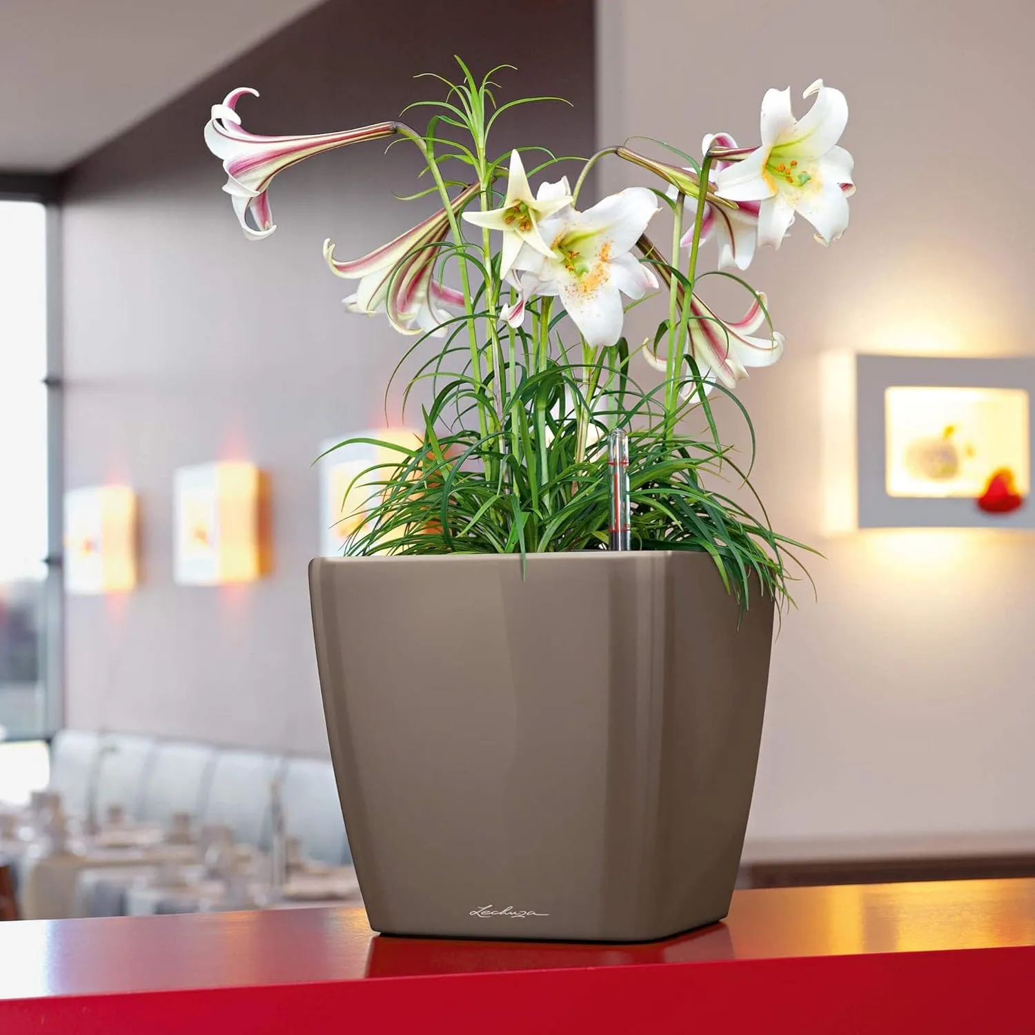 Lechuza Self Watering Plant Pot Quadro LS 35 Garden Flower Indoor and Outdoor Plastic Planter with Drainage Hole H33 L35 W35 cm White High-Gloss