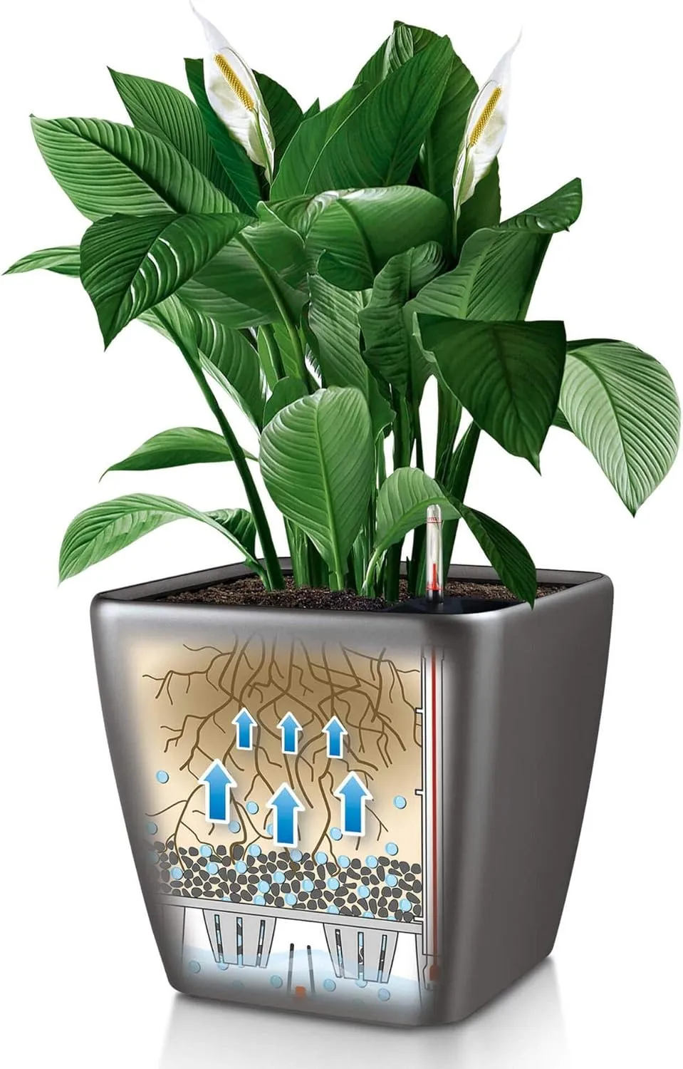 Lechuza Self Watering Plant Pot Quadro LS 35 Garden Flower Indoor and Outdoor Plastic Planter with Drainage Hole H33 L35 W35 cm White High-Gloss