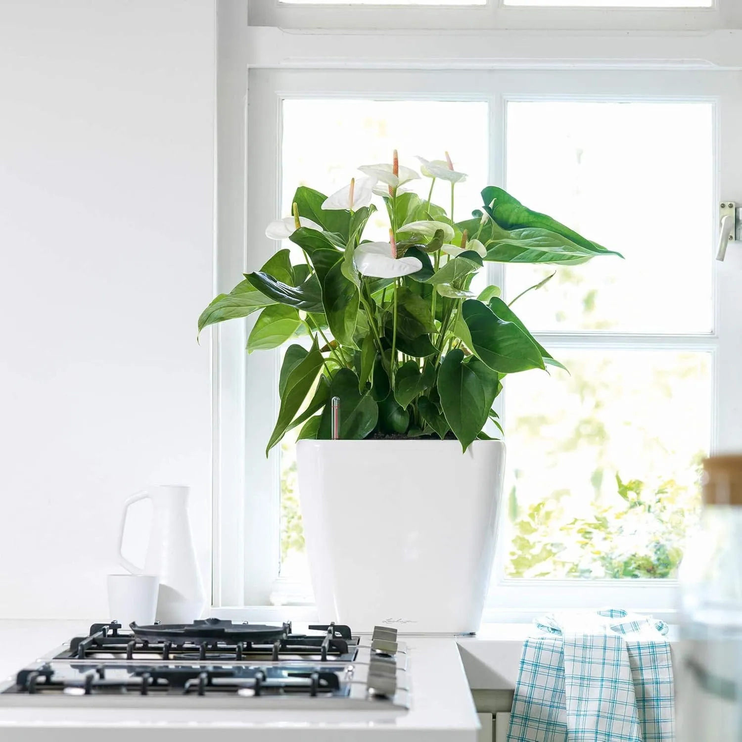Lechuza Self Watering Plant Pot Quadro LS 35 Garden Flower Indoor and Outdoor Plastic Planter with Drainage Hole H33 L35 W35 cm White High-Gloss