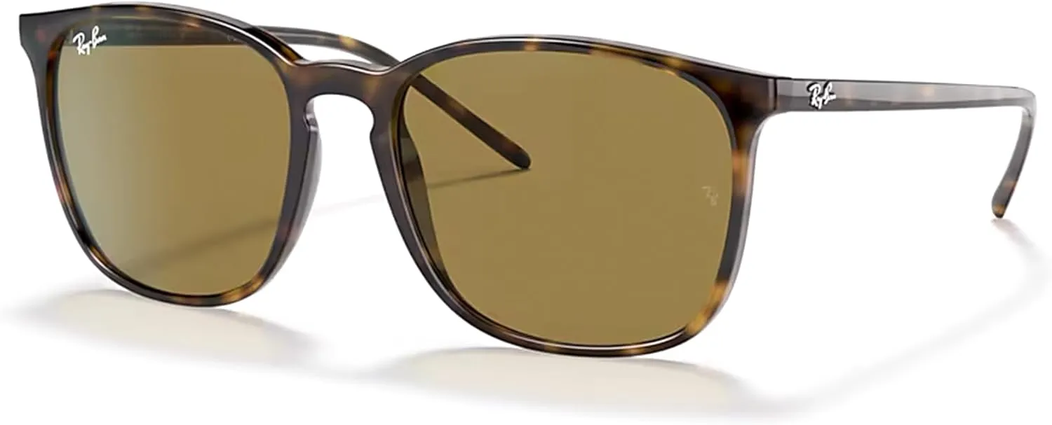 Ray-Ban RB4387 Square Sunglasses for Men for Women   BUNDLE With Designer iWear Complimentary Eyewear Kit